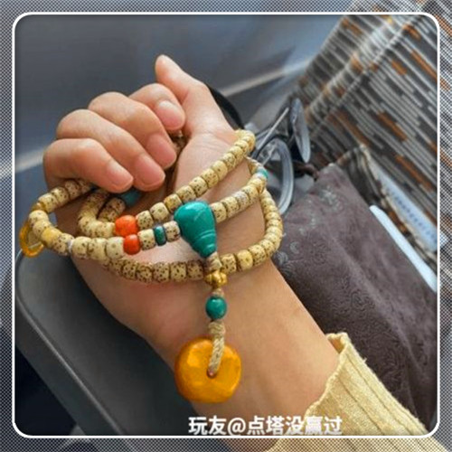 李晨星月菩提李晨星月菩提