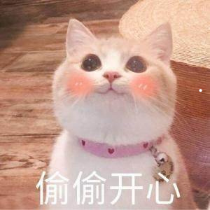 猫叫综合征特殊面容-猫叫综合症面容特征(2022更新中)_宠物