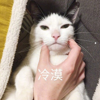 猫叫综合症的成因和症状-猫叫综合症有什么症状(今日更新中)_宠物