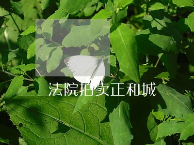 法院拍卖正和城