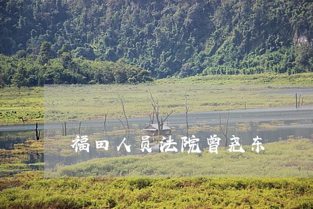 福田人员法院曾尧东