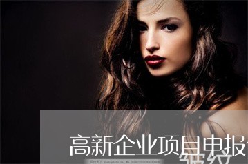 高新企業(yè)項目申報代理