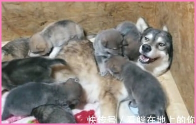 残角子宫畸形32岁能生孩子吗？