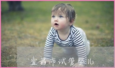 试管婴儿生龙凤胎的几率有多大