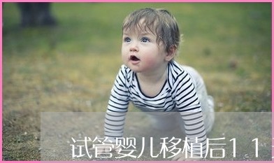 供卵做试管婴儿一代的成功率是多少？你知道吗？