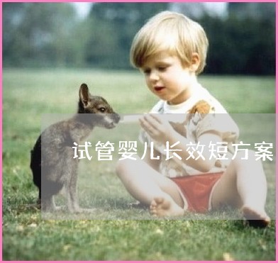 用人工授精或借卵助孕代怀机构需要多长时间才能怀孕？