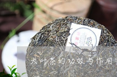 安泽大叶茶图片