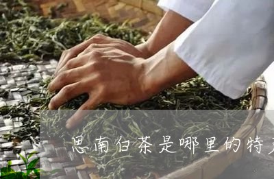 思南白茶图片