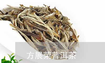 方展荣普洱茶/2023061192974