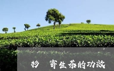 杉樹寄生茶的功效與作用萬壽木寄生茶功效與作用/2023030889120