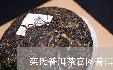 栾氏普洱茶的黑曜石茶图片