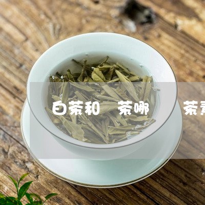 白茶和綠茶哪個兒茶素高/2023031565643