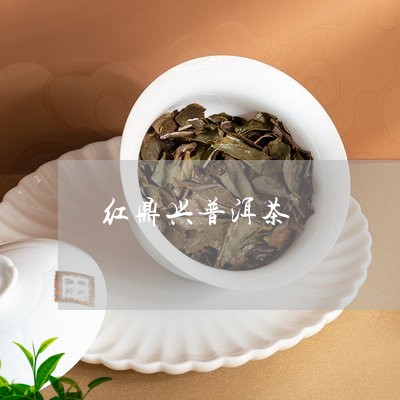 红鼎兴普洱茶/2024010509415