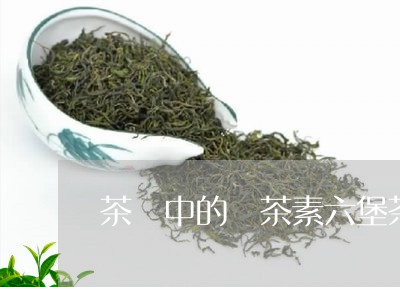 茶葉中的兒茶素六堡茶有副作用嗎/2023022788494