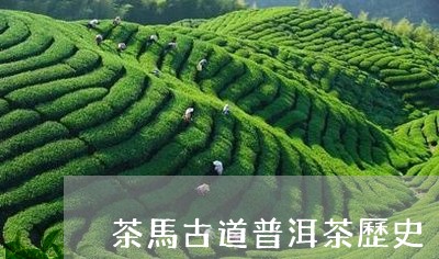 茶馬古道普洱茶歷史/2023032325703