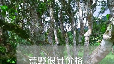 推荐内幕知识:荒野银针价格-荒野银针价格及图片「25日实时动态」_茶叶