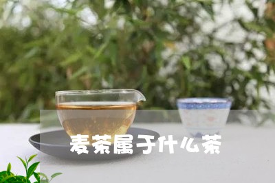 麦茶属于什么茶/2023061720084