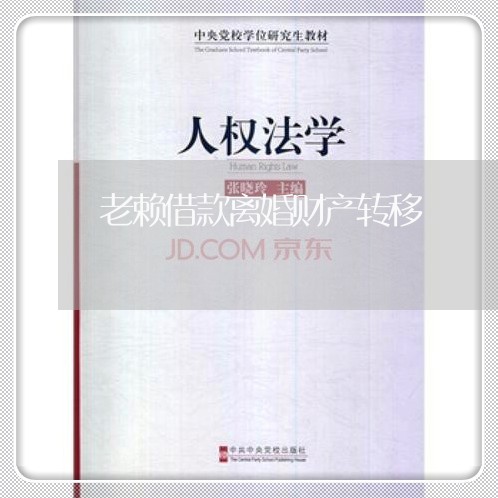 老赖借款离婚财产转移/2023053039293