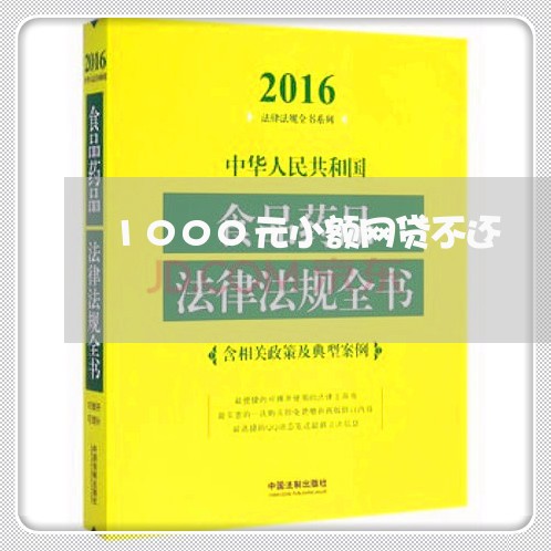 1000元小额网贷不还 1000元小额网贷不还
