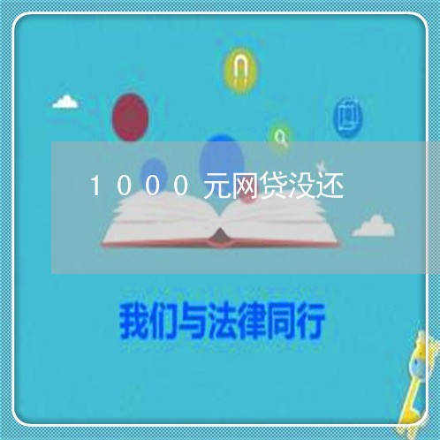 1000元网贷没还/2023112627282