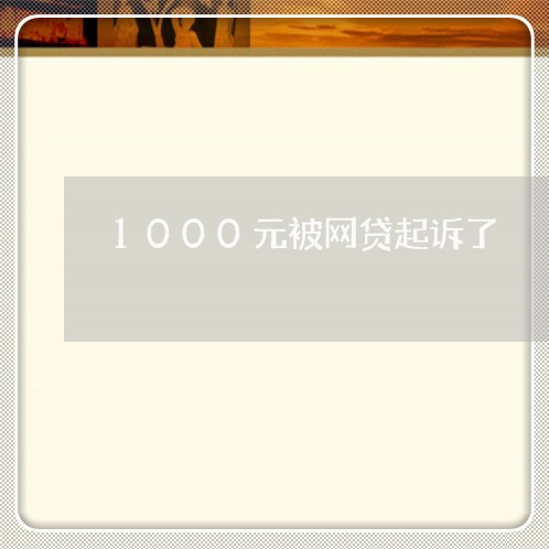 1000元被网贷起诉了/2023112506271