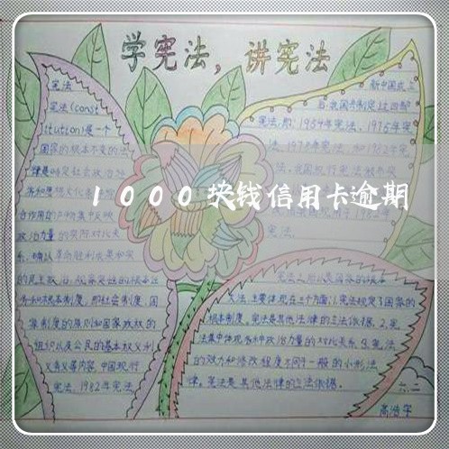 1000块钱信用卡逾期/2023041050624