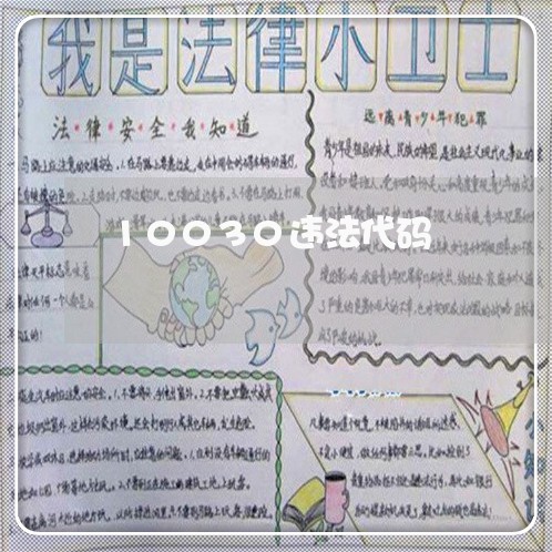 10030违法代码
