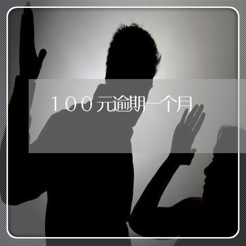 100元逾期一个月/2023021190868