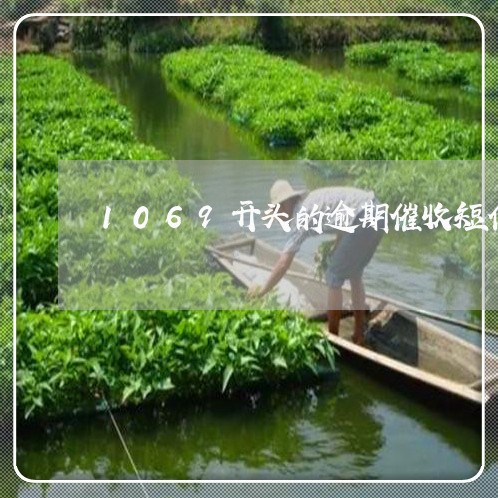 1069开头的逾期催收短信/2023022457383 1069开头的逾期催收短信/2023022457383