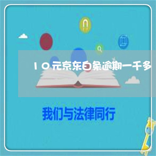 10元京东白条逾期一千多 10元京东白条逾期一千多