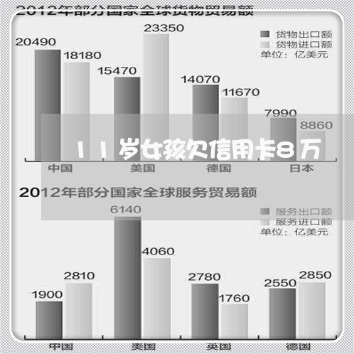 11岁女孩欠信用卡8万