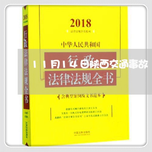 11月14日陕西交通事故/2023060994646