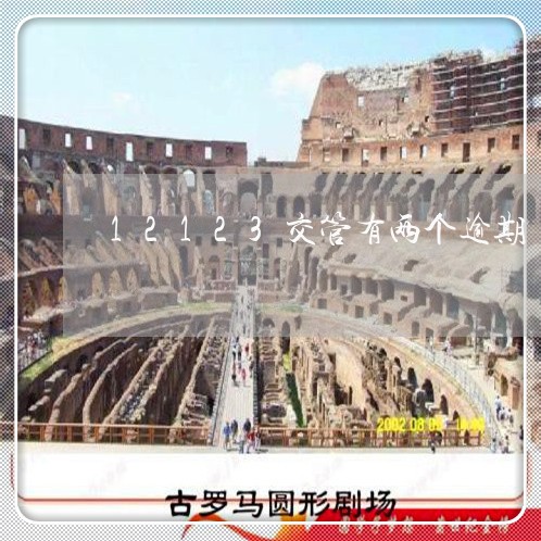 12123交管有两个逾期