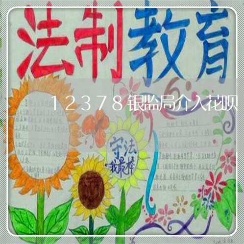 12378银监局介入花呗/2023100881713