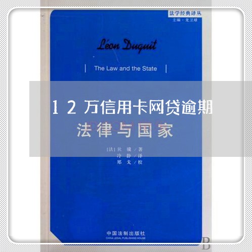 12万信用卡网贷逾期/2023070875170