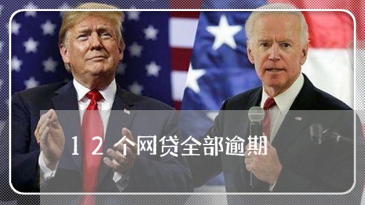 12个网贷全部逾期/2023020852632