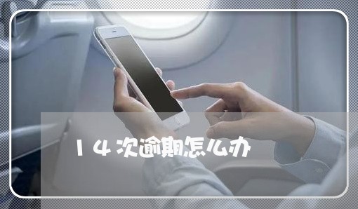 14次逾期怎么办