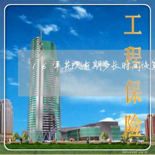 16年花呗逾期多长时间恢复