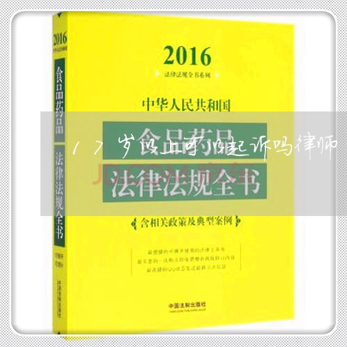 17岁以上可以起诉吗律师/2023060884058