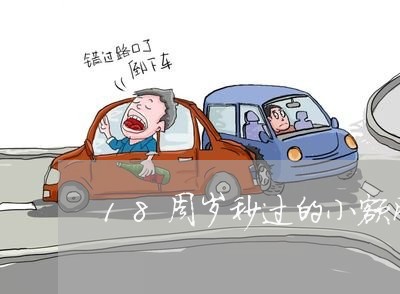18周岁秒过的小额网贷 18周岁秒过的小额网贷