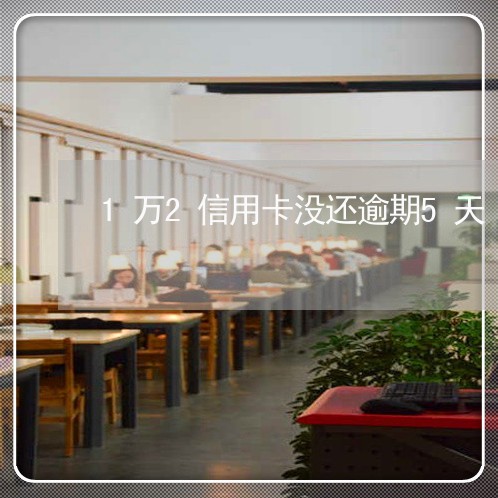 1万2信用卡没还逾期5天 1万2信用卡没还逾期5天