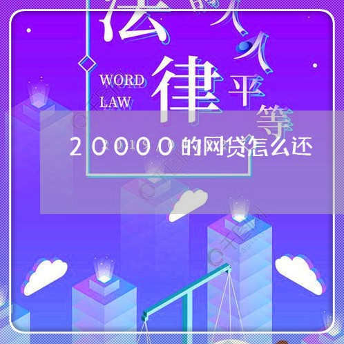 20000的网贷怎么还/2023112697412