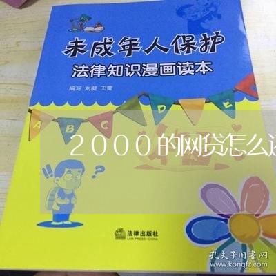 2000的网贷怎么还/2023112648573