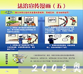 2008奥运会总法律顾问/2023031485906