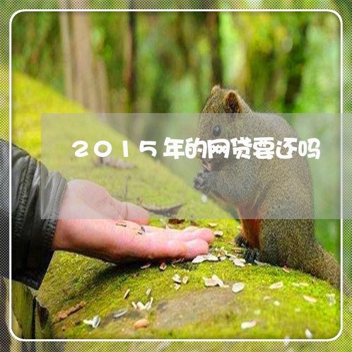 2015年的网贷要还吗/2023120716158