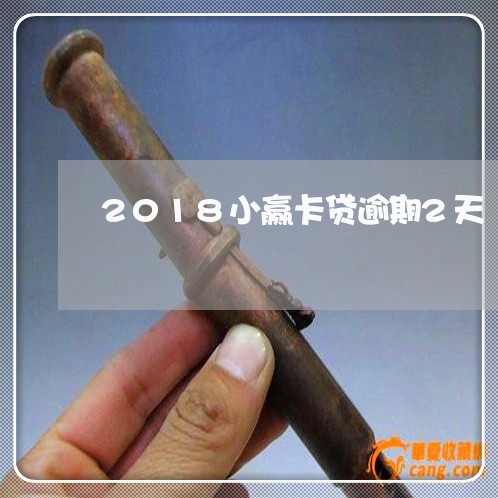 2018小赢卡贷逾期2天/2023042322716