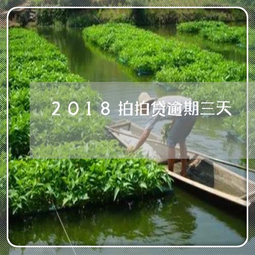 2018拍拍贷逾期三天/2023061836237