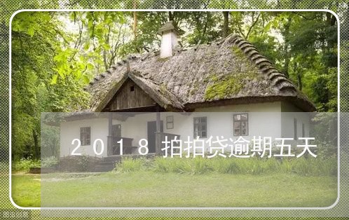 2018拍拍贷逾期五天/2023022585096