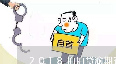 2018拍拍贷逾期五天/2023071062705