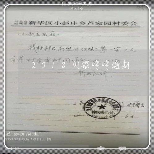 2018闪银哼哼逾期